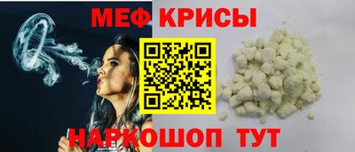 гашик Кингисепп