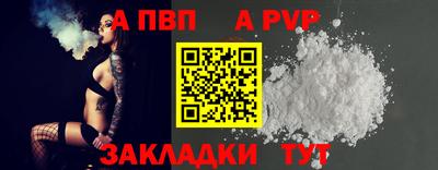 гашик Кингисепп