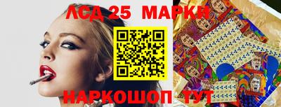 гашик Кингисепп
