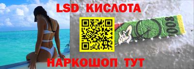 гашик Кингисепп