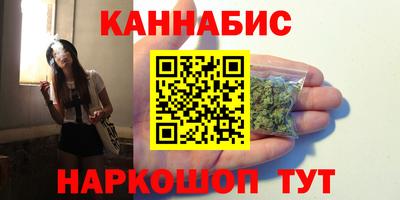 гашик Кингисепп