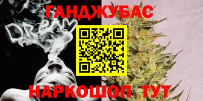 гашик Кингисепп
