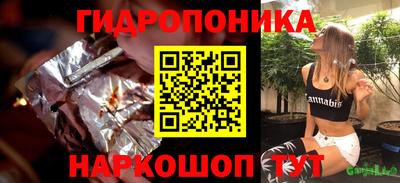 гашик Кингисепп