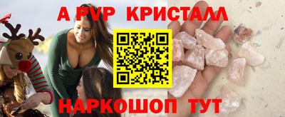 гашик Кингисепп
