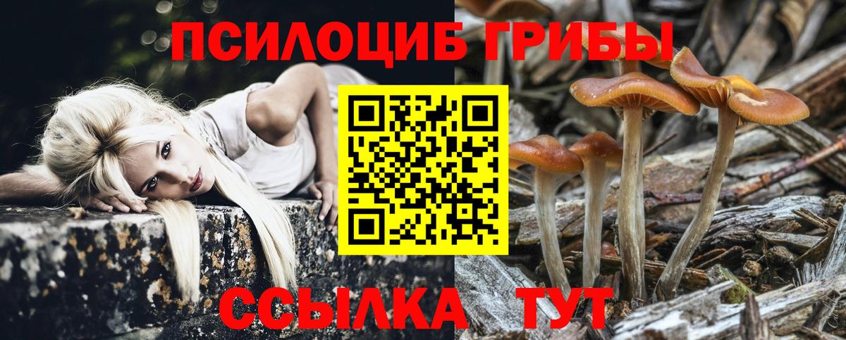 Коммунар  Псилоцибиновые грибы MAGIC MUSHROOMS  Вход с VPN 